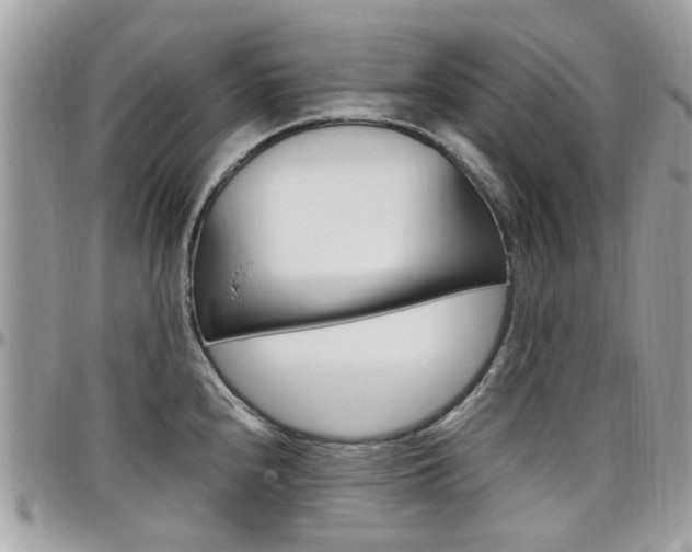 X0000097981240200803241035