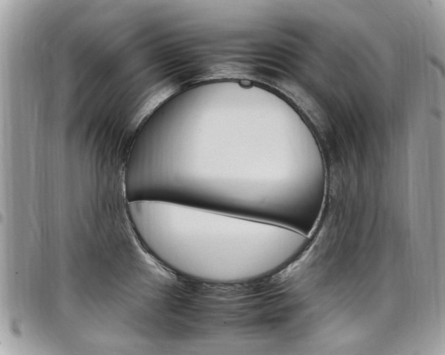 X0000097981241200803241035
