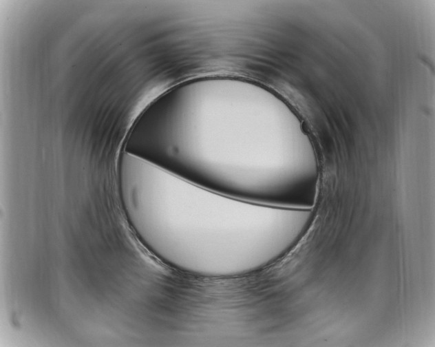 X0000097981242200803241035