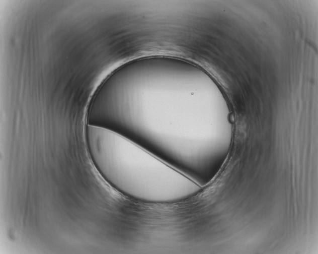 X0000097981246200803241035