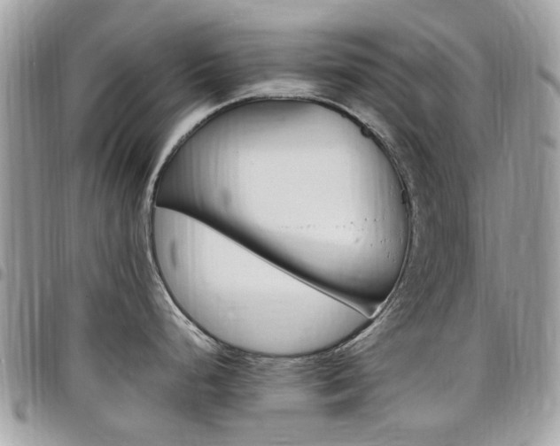 X0000097981248200803241035