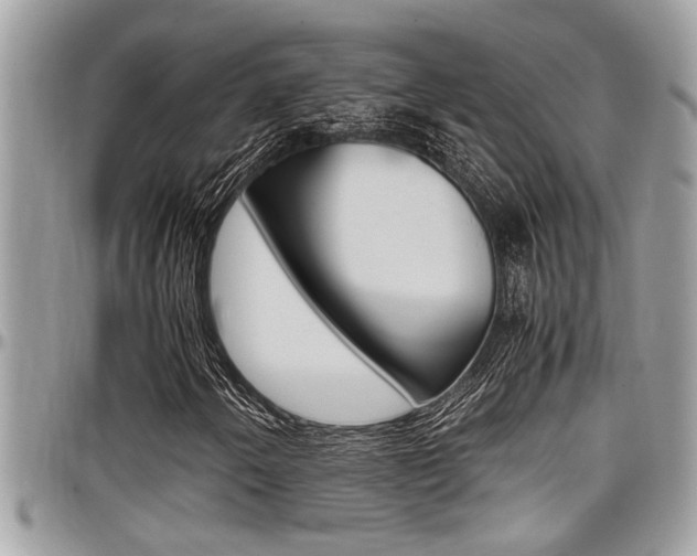 X0000097981250200803241034