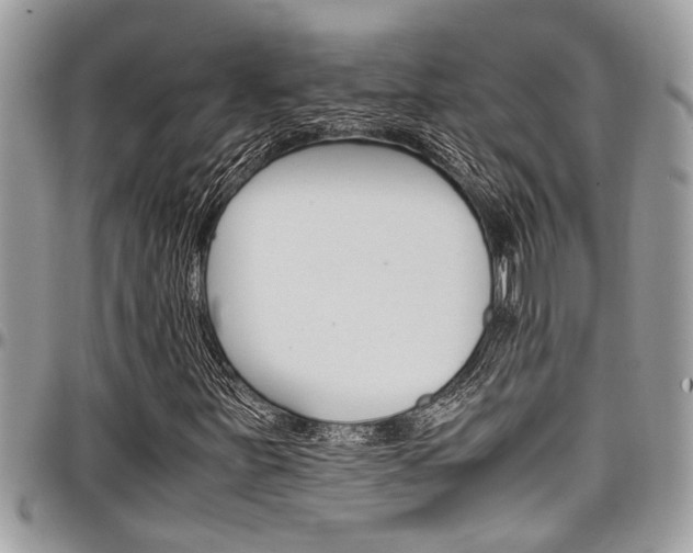 X0000097981251200803241034