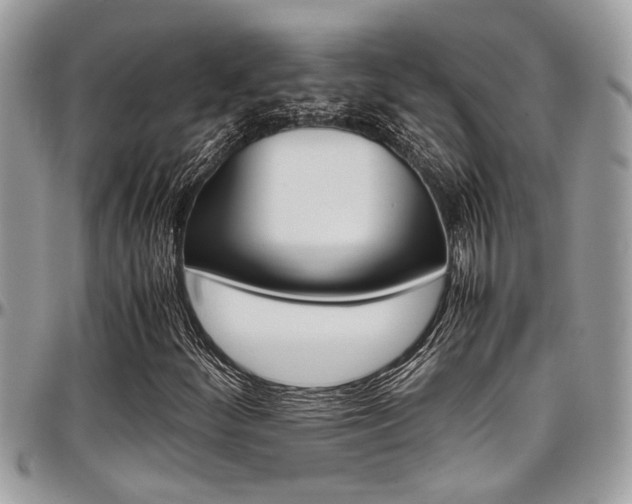 X0000097981252200803241034