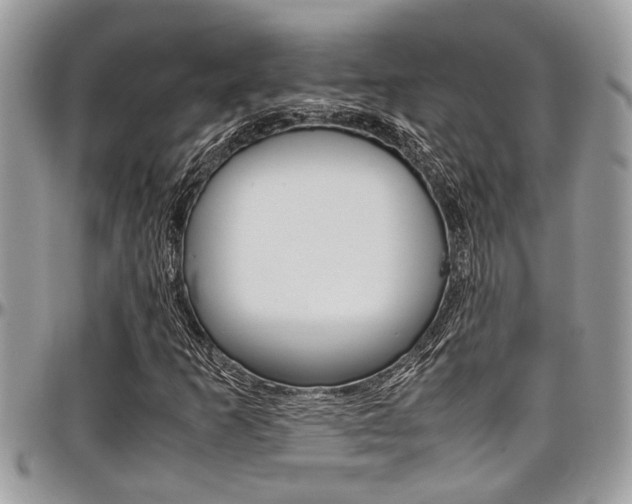 X0000097981253200803241034