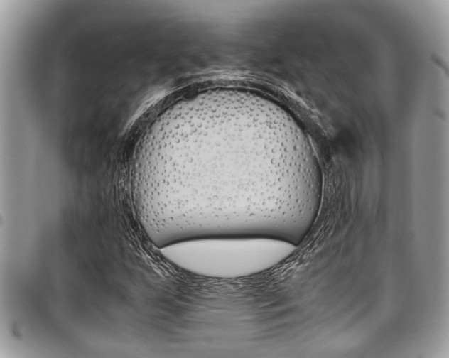 X0000097981255200803241034
