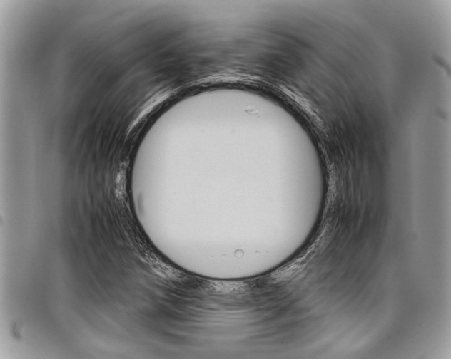 X0000097981258200803241034