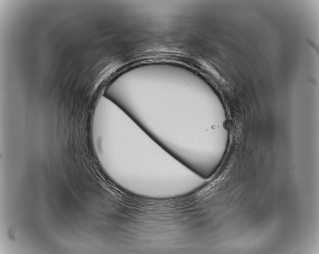 X0000097981259200803241034
