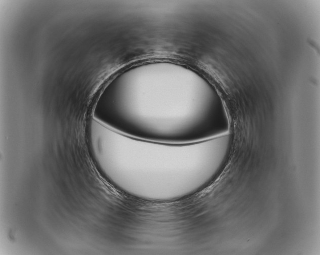 X0000097981260200803241034