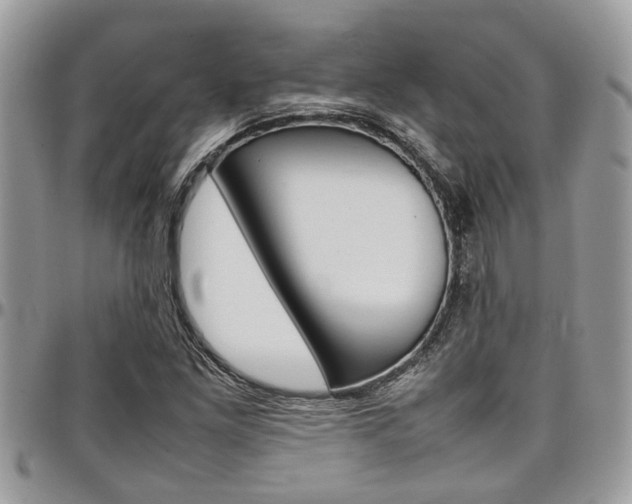 X0000097981261200803241034