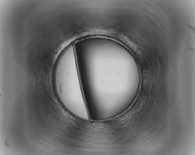 X0000097981264200803241034