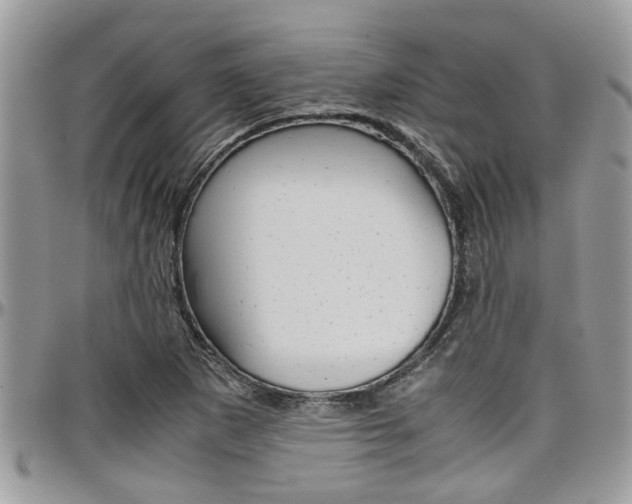 X0000097981265200803241034