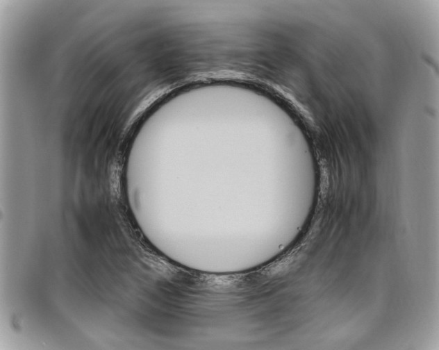 X0000097981266200803241034