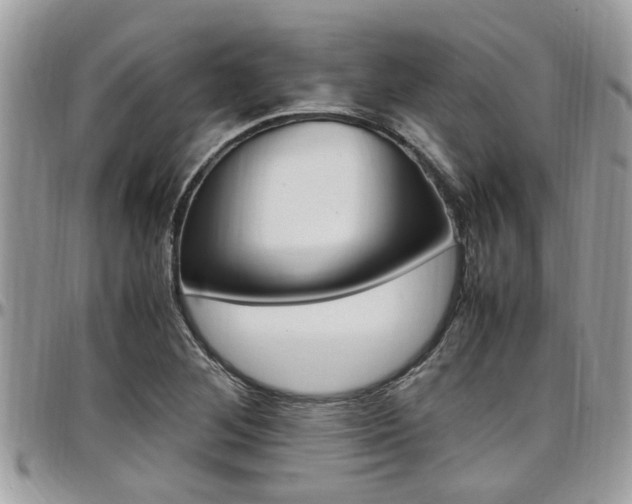 X0000097981268200803241034