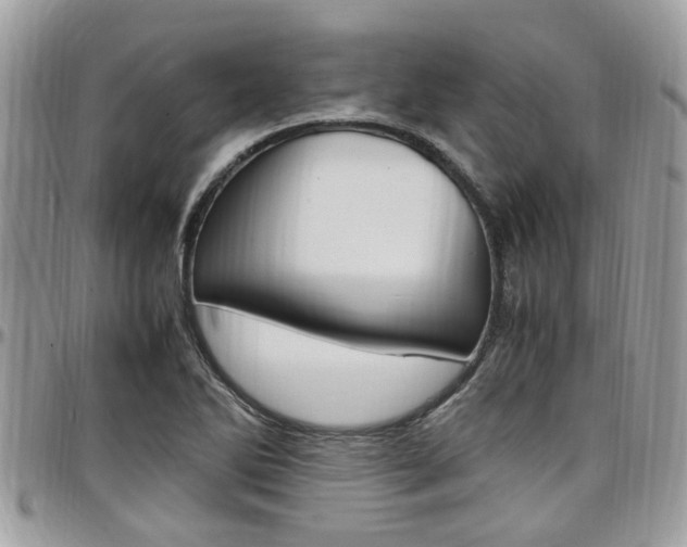 X0000097981270200803241034