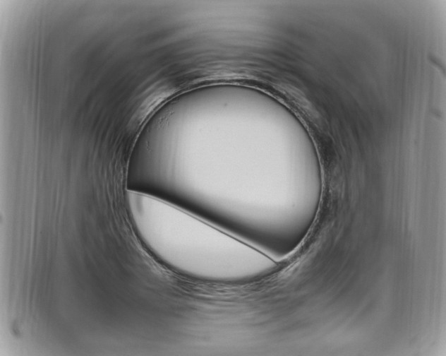 X0000097981273200803241033