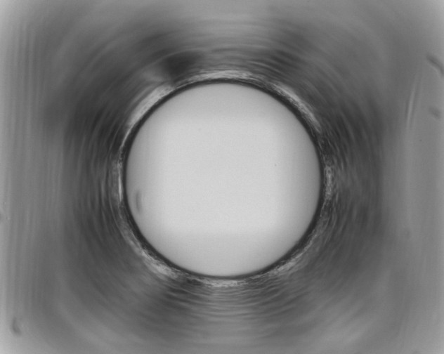 X0000097981274200803241033