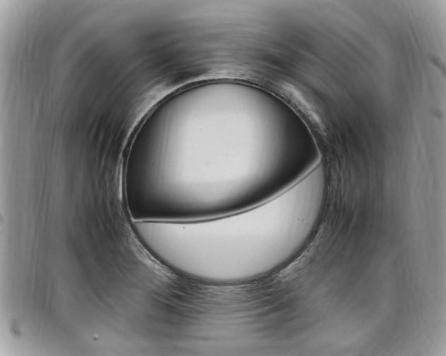 X0000097981276200803241033