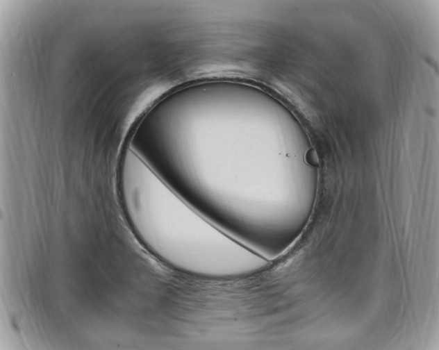 X0000097981277200803241033