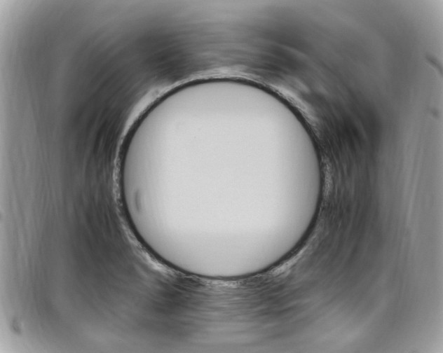 X0000097981278200803241033