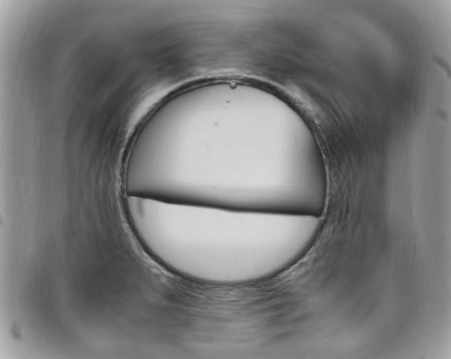 X0000097981279200803241033