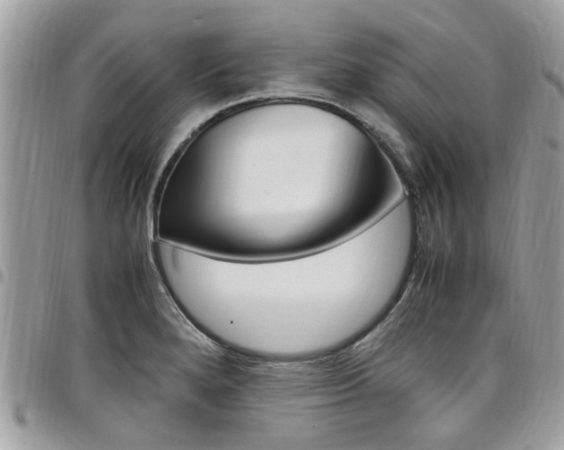 X0000097981280200803241033