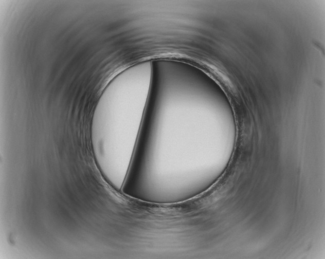 X0000097981281200803241033