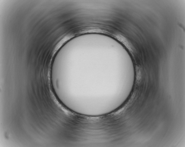 X0000097981282200803241033