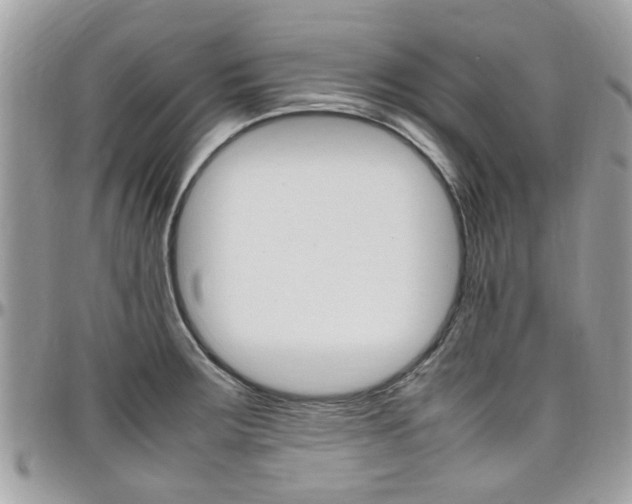 X0000097981283200803241033