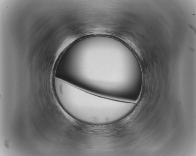 X0000097981285200803241033