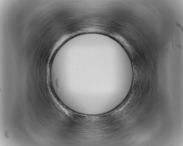 X0000097981286200803241033