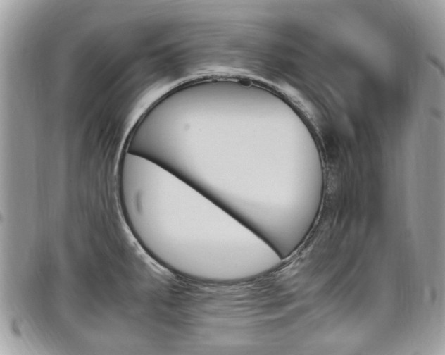 X0000097981287200803241033