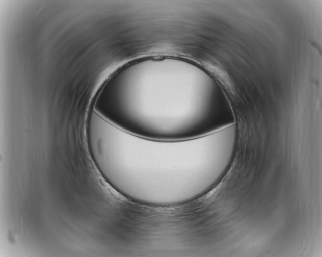 X0000097981288200803241033