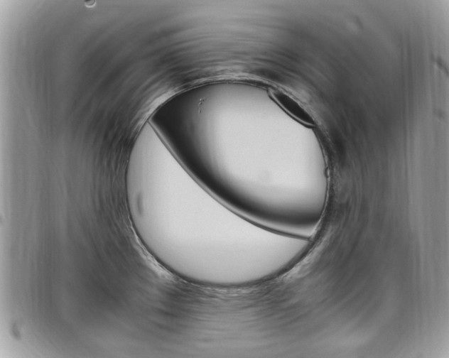 X0000097981289200803241033