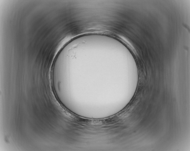 X0000097981291200803241033