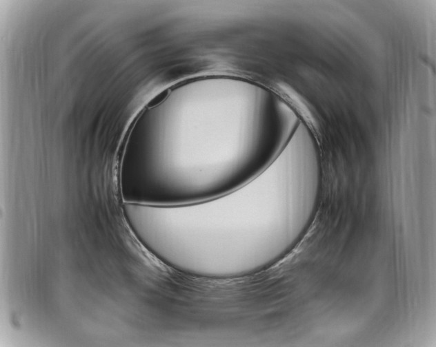 X0000097981292200803241033