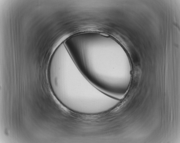 X0000097981293200803241033