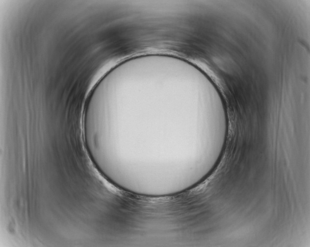 X0000097981294200803241033
