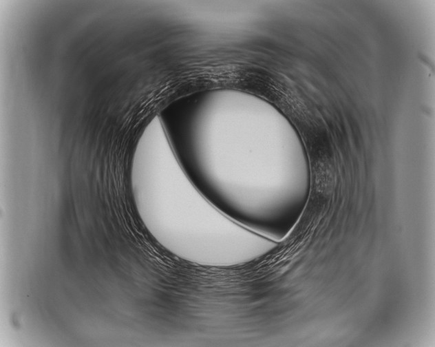 X0000097981298200803241033