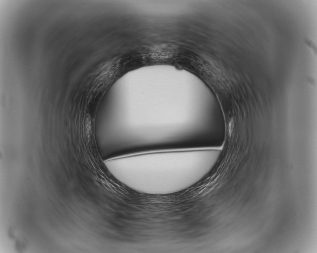 X0000097981299200803241033