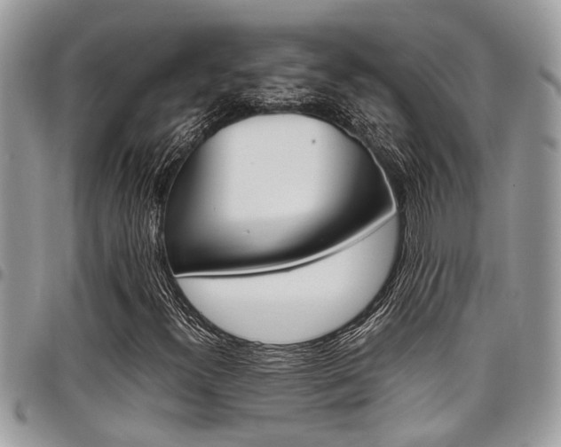 X0000097981300200803241033