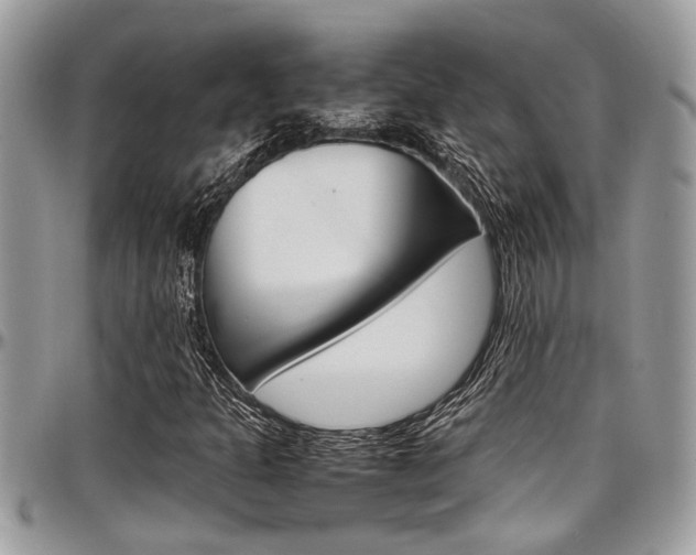 X0000097981301200803241033