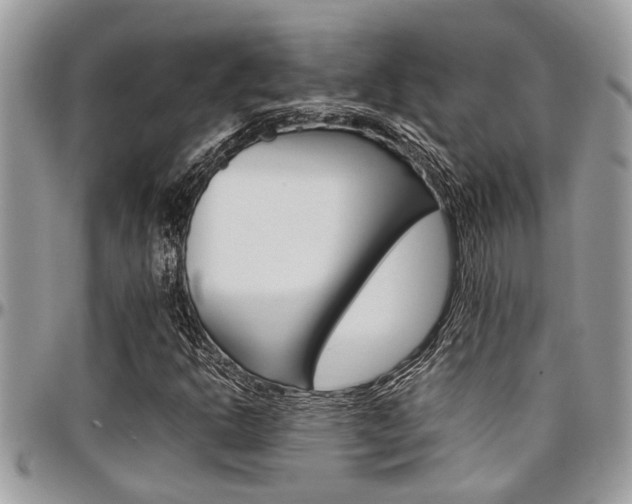 X0000097981302200803241033