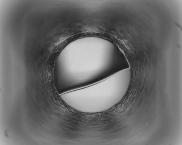 X0000097981303200803241033