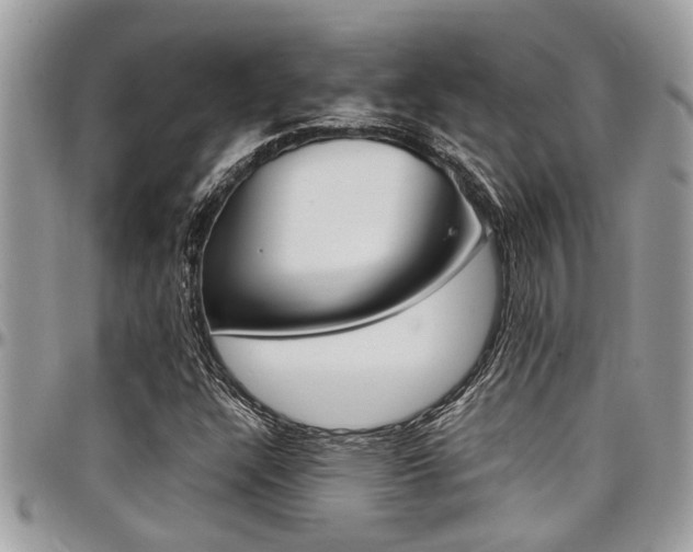 X0000097981304200803241033
