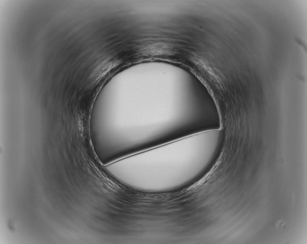 X0000097981305200803241033