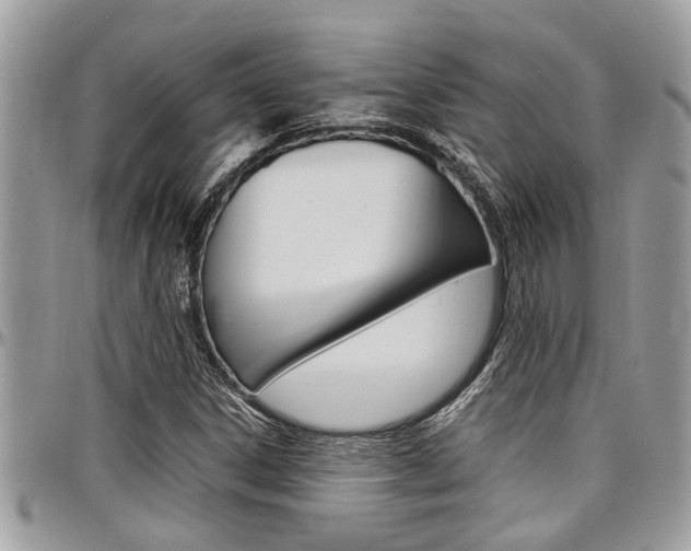X0000097981306200803241033