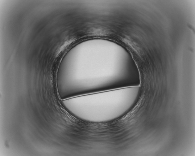 X0000097981307200803241033