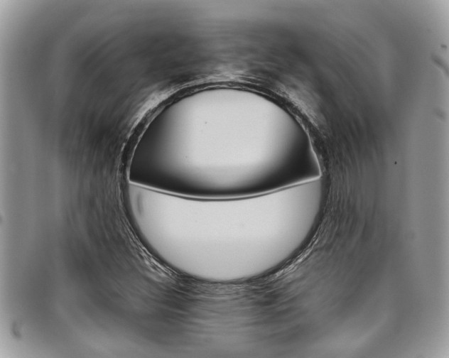 X0000097981308200803241033