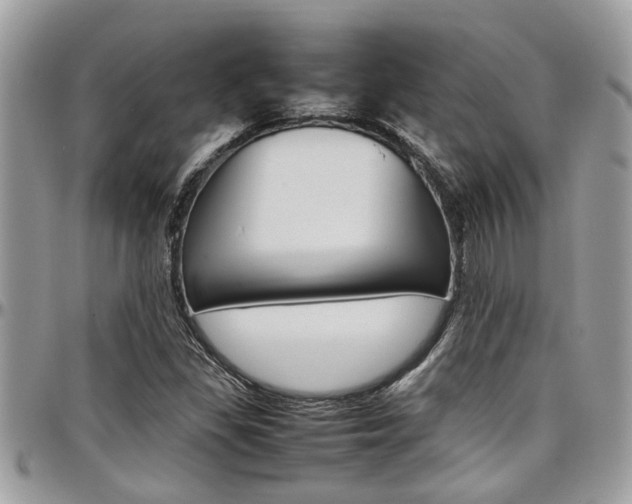 X0000097981309200803241033